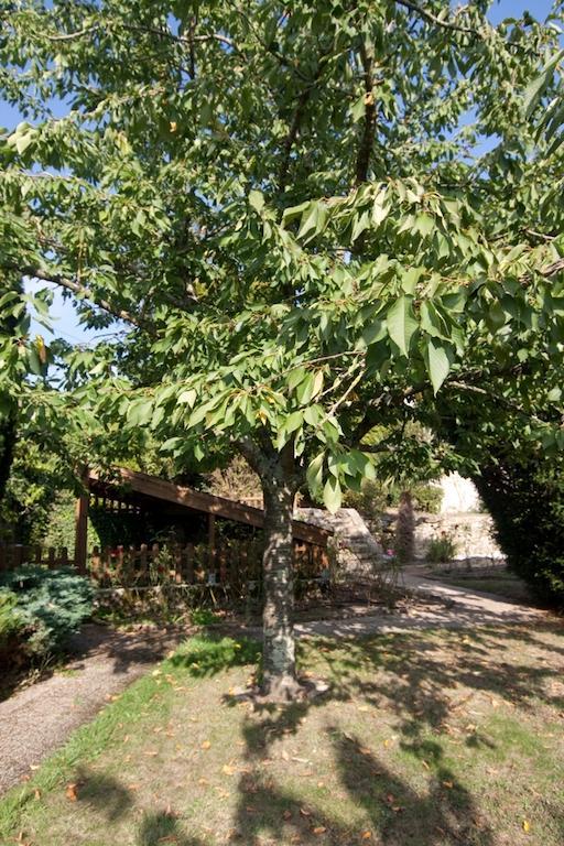 Le Petit Chateau - Tiffauges Proche Puy Dufou 외부 사진